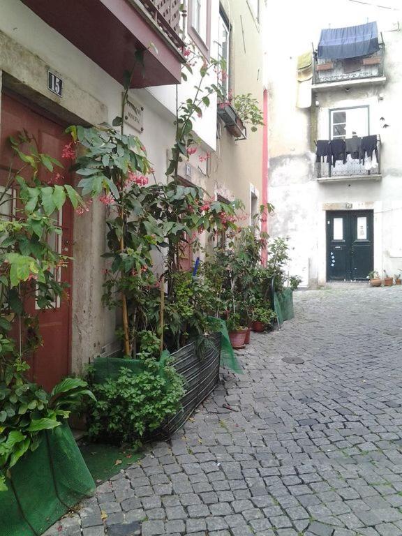 Tonic Flat Apartment Lisbon Bagian luar foto